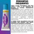 Reparador Labial Hidratante Carmed Ácido Hialurônico 10g