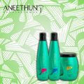 Aneethun Cachos Shampoo 300ml + Co Wash 300ml + Máscara 500g