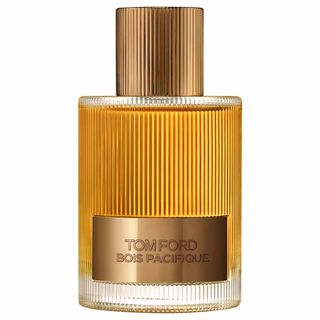Perfume Beau De Jour Tom Ford Masculino Eau de Parfum