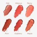 Blush em Bastão Mascavo Flush Stick Plum 6g by Mari Saad