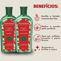Kit Shampoo e Condicionador Phytoervas Fortalecimento Total Jaborandi e Buriti 250ml