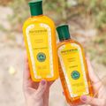 Kit Phytoervas Iluminador Camomila: Shampoo e Condicionador 250ml