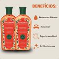 Kit Phytoervas Super-Restauração Cupuaçu E Ucuuba: Shampoo e Condicionador 250ml