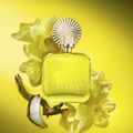 Perfume Shakira Amarillo Feminino Eau de Parfum 50ml