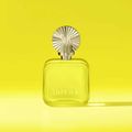 Perfume Shakira Amarillo Feminino Eau de Parfum 50ml