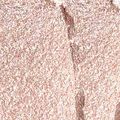 Sombra Cremosa em Bastão Too Faced Quickie Queen 1.5g Twinkle