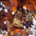 Perfume Libre Flowers & Flames Yves Saint Laurent Feminino Eau De Parfum Florale 30ml