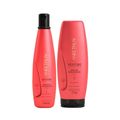 Aneethun Restore Shampoo 300ml + Máscara 250g