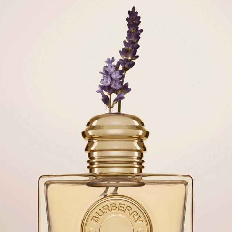 Burberry Goddess Eau de Parfum - Época Cosméticos