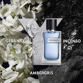 Y Yves Saint Laurent Perfume Masculino EDT 60ml