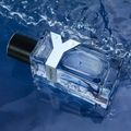 Y Yves Saint Laurent Perfume Masculino EDT 60ml