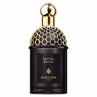 Aqua Allegoria Cuir Intense Guerlain Perfume Unissex Eau de Parfum