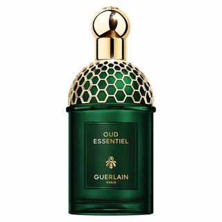 Aqua Allegoria Cuir Intense Guerlain Perfume Unissex Eau de Parfum