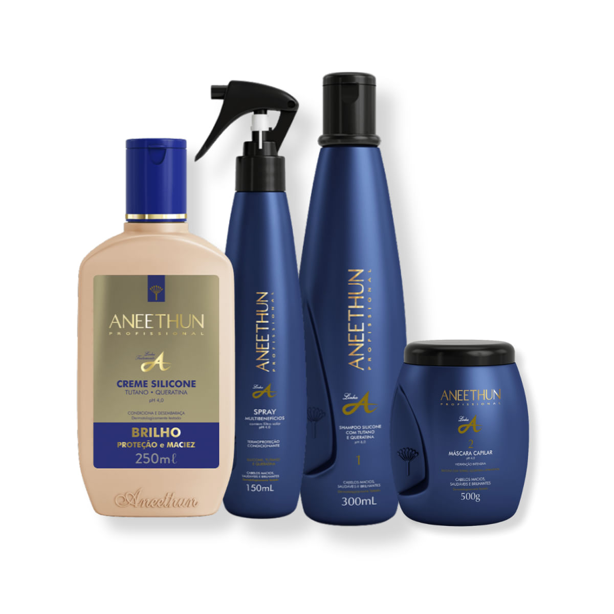 Kit Aneethun Linha A Full (4 Produtos)