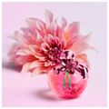 Nina Ricci Illusion Feminino Eau De Parfum 30 Ml