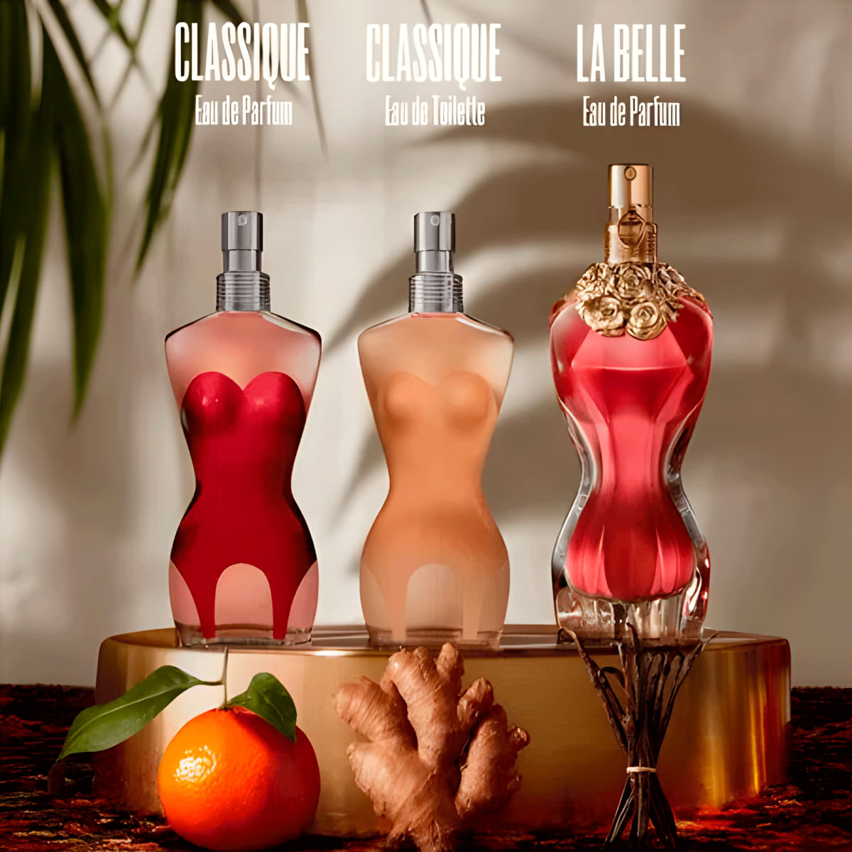 Jean Paul Gaultier Classique Eau de Parfum - Perfume Feminino